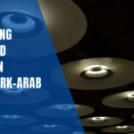 ATTRACTED ATTENTION AT THE TURK-ARAB FAIR 3N LIGHTING